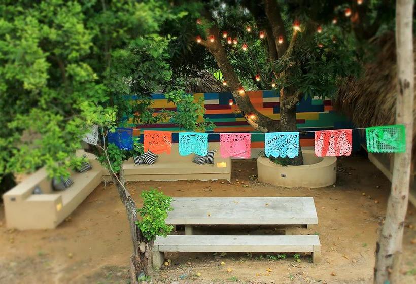 Color Hostel | Palomino | La Guajira | Colombia 7