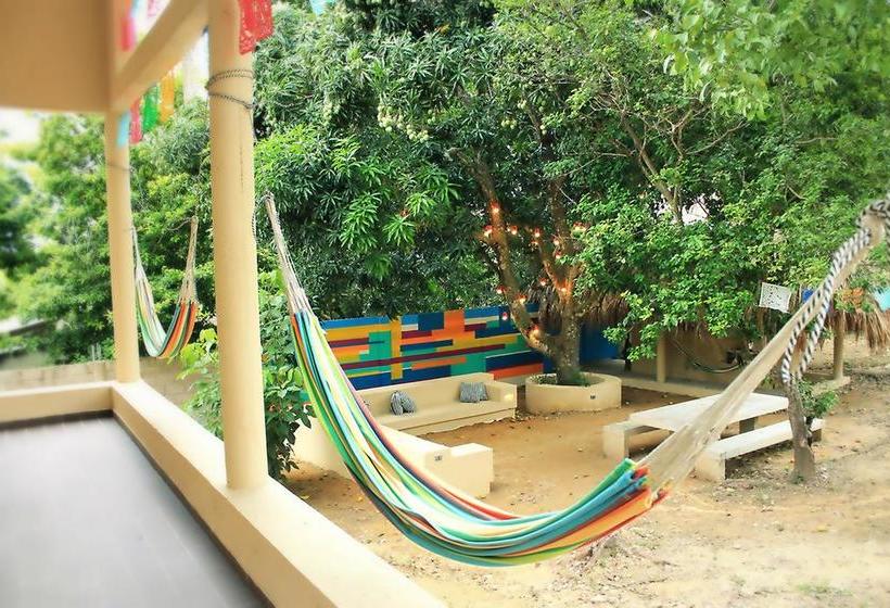 Color Hostel | Palomino | La Guajira | Colombia 8