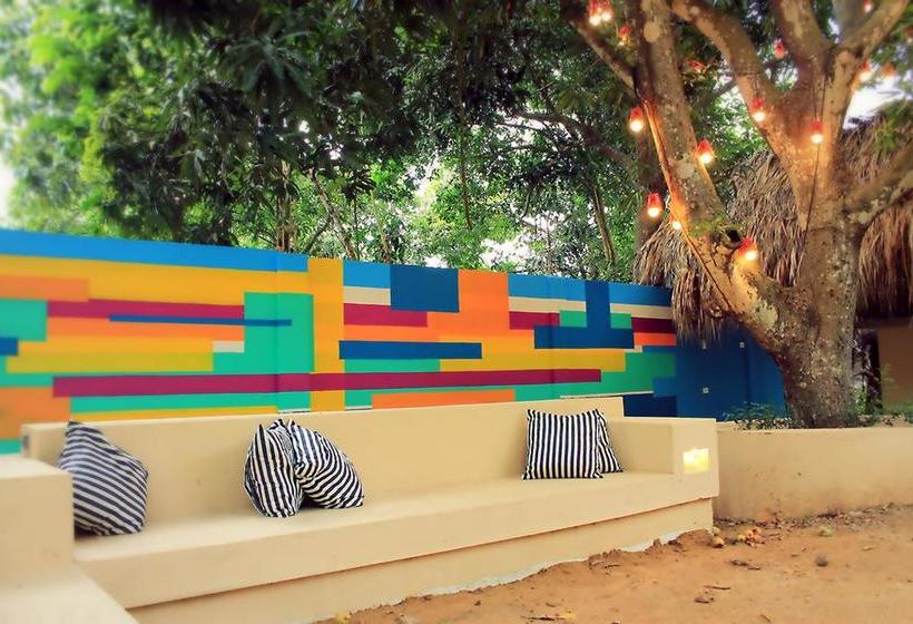 Color Hostel | Palomino | La Guajira | Colombia 9