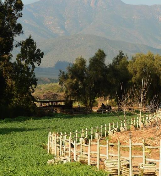 Hotel Hacienda Santa Cristina | Ovalle | Coquimbo | Chile 7