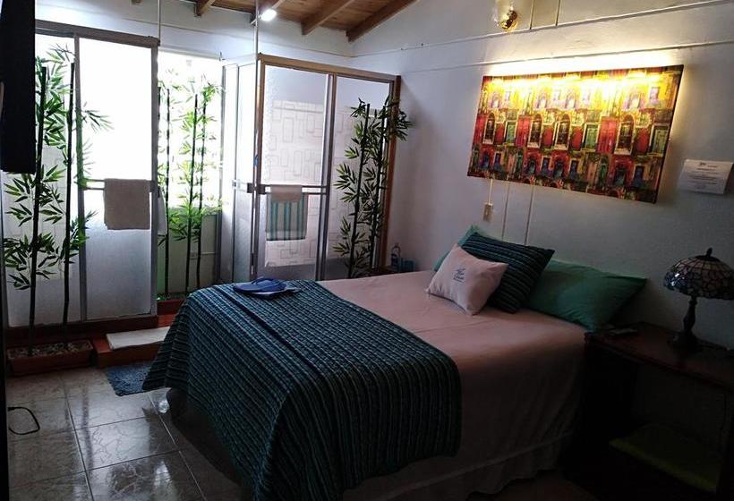 Bed and Breakfast Blue House Aeropuerto | Rionegro | Antioquia | Colombia 10