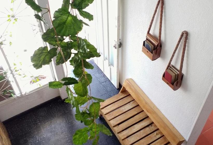 Enjoy Colombia Hostel | Villavicencio | Meta | Colombia 5