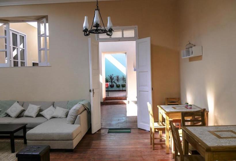 Albergue Wild Olive Guest House | Ica | Ica | Perú 1