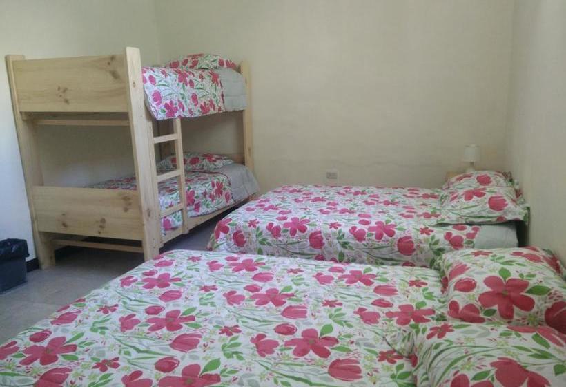 Albergue Wild Olive Guest House | Ica | Ica | Perú 10