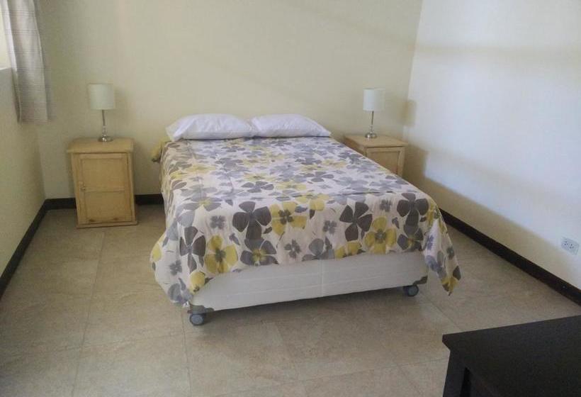 Albergue Wild Olive Guest House | Ica | Ica | Perú 11