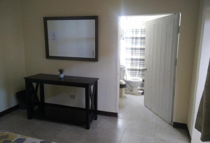 Albergue Wild Olive Guest House | Ica | Ica | Perú 12