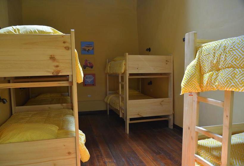 Albergue Wild Olive Guest House | Ica | Ica | Perú 13