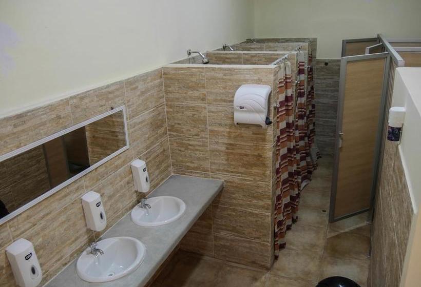 Albergue Wild Olive Guest House | Ica | Ica | Perú 14