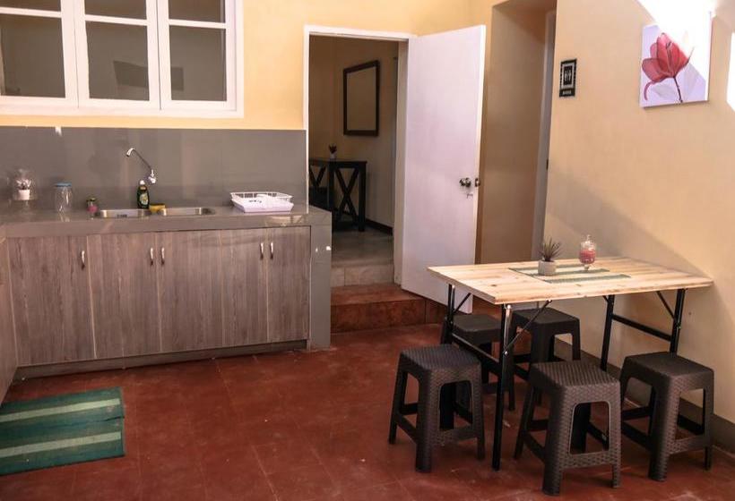 Albergue Wild Olive Guest House | Ica | Ica | Perú 15