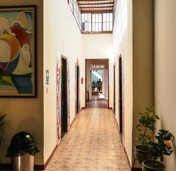 Albergue Wild Olive Guest House | Ica | Ica | Perú 16