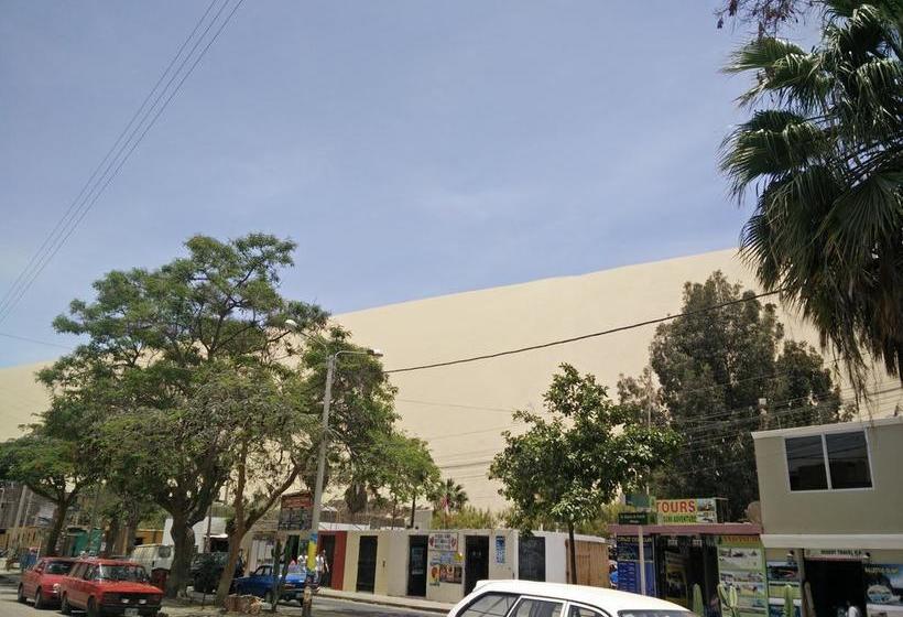 Albergue Wild Olive Guest House | Ica | Ica | Perú 17