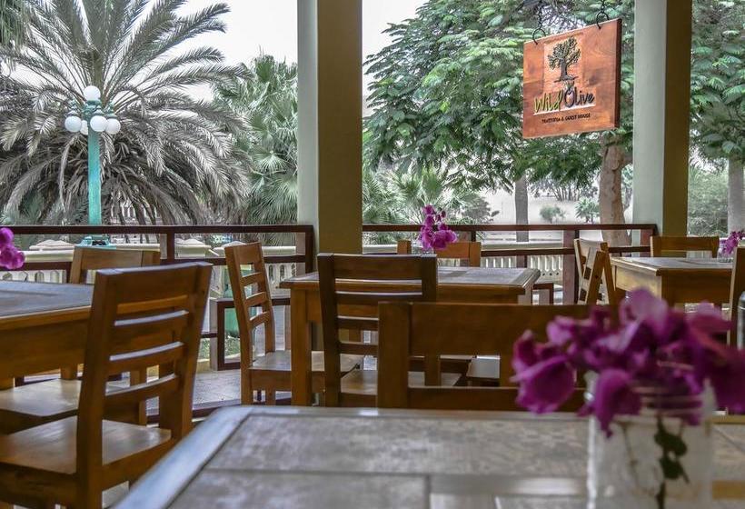 Albergue Wild Olive Guest House | Ica | Ica | Perú 20