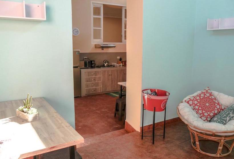 Albergue Wild Olive Guest House | Ica | Ica | Perú 3