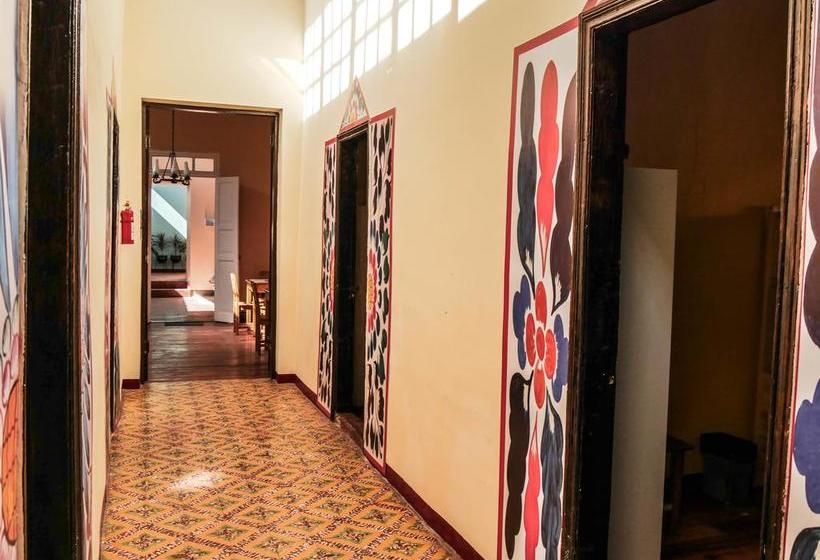 Albergue Wild Olive Guest House | Ica | Ica | Perú 4