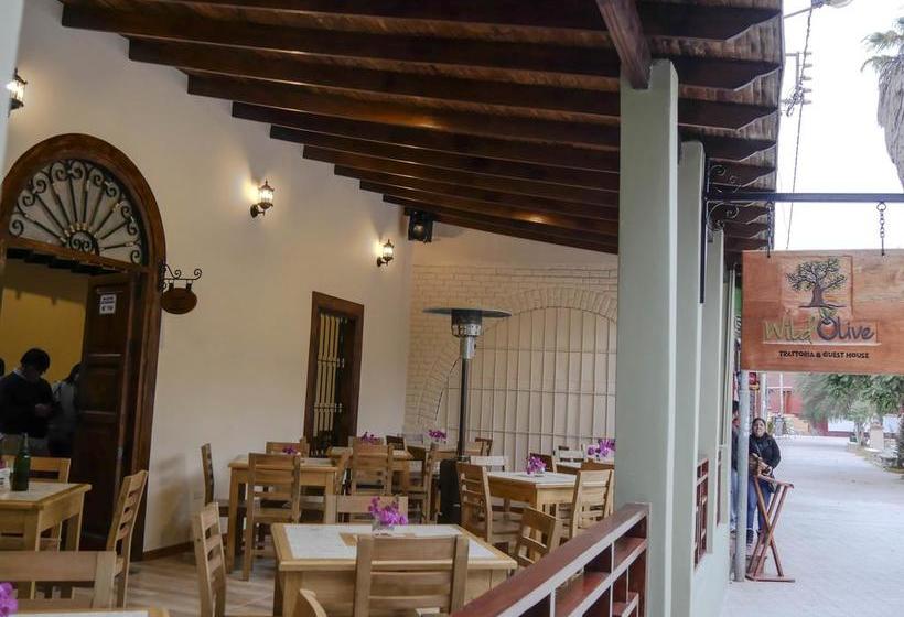 Albergue Wild Olive Guest House | Ica | Ica | Perú 5