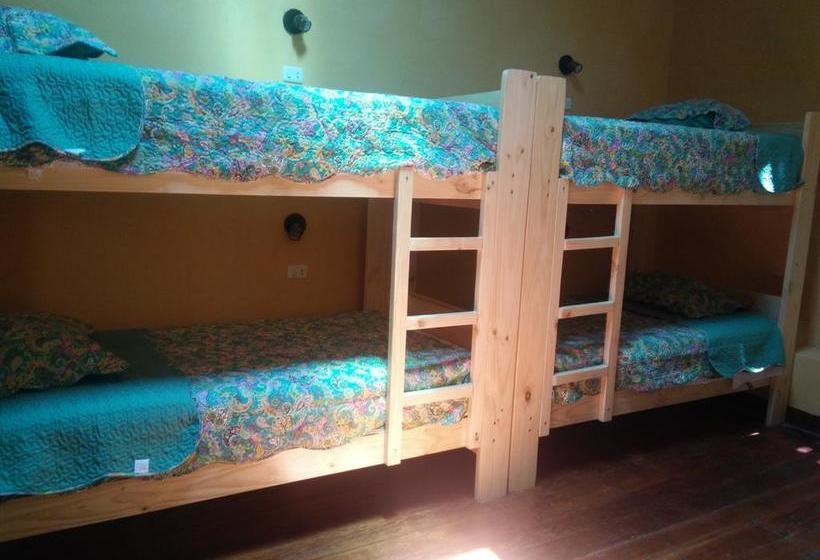 Albergue Wild Olive Guest House | Ica | Ica | Perú 6