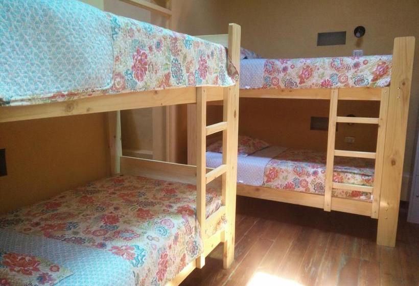 Albergue Wild Olive Guest House | Ica | Ica | Perú 7