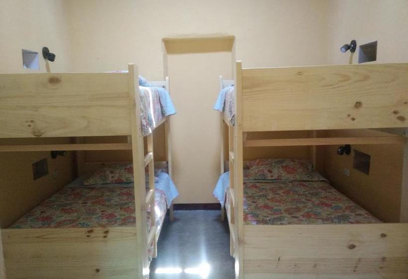 Albergue Wild Olive Guest House | Ica | Ica | Perú 8