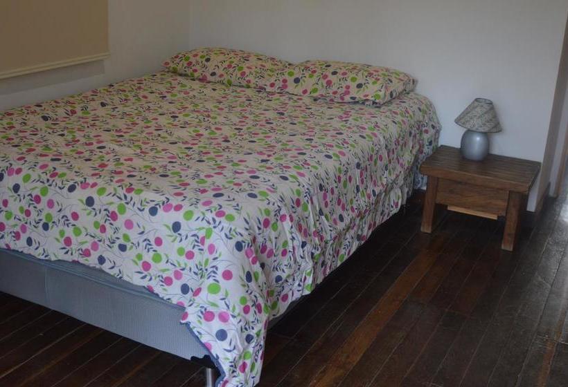 Antioquia Viva Hostel | Guatapé | Antioquia | Colombia 13