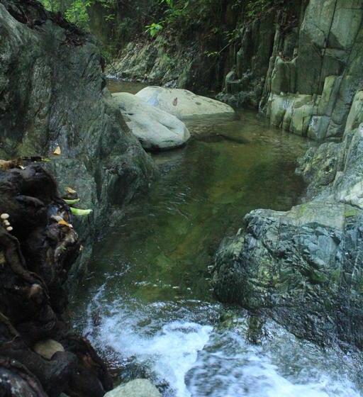 La Natura Hostel | Palomino | La Guajira | Colombia 16