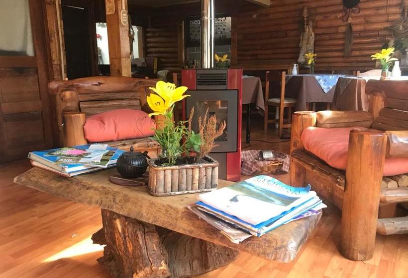 Albergue Casa Balmaceda Backpackers | Coihaique | Aysén | Chile 3