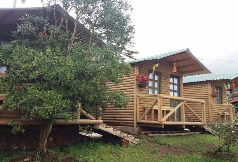 Moon Night Hostel | Santa Helena | Antioquia | Colombia 1