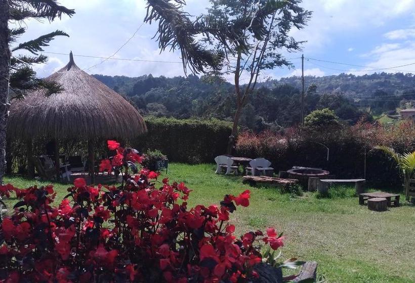 Moon Night Hostel | Santa Helena | Antioquia | Colombia 10