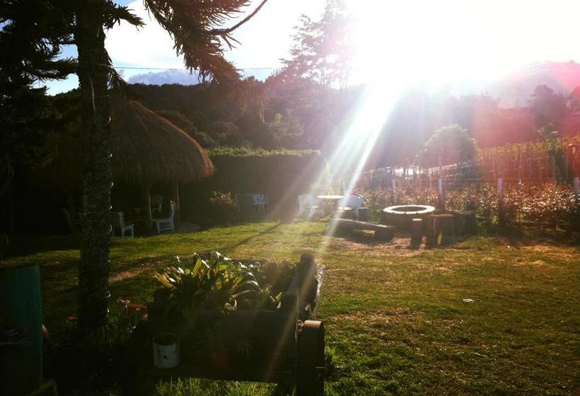 Moon Night Hostel | Santa Helena | Antioquia | Colombia 12