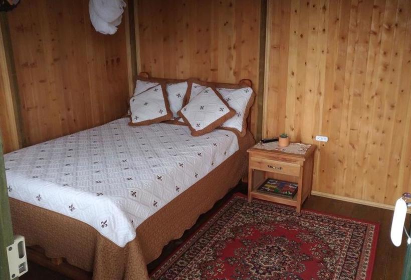 Moon Night Hostel | Santa Helena | Antioquia | Colombia 13