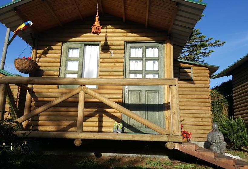 Moon Night Hostel | Santa Helena | Antioquia | Colombia 3