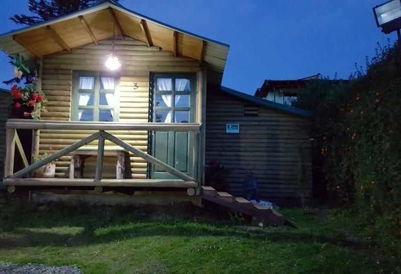 Moon Night Hostel | Santa Helena | Antioquia | Colombia 6