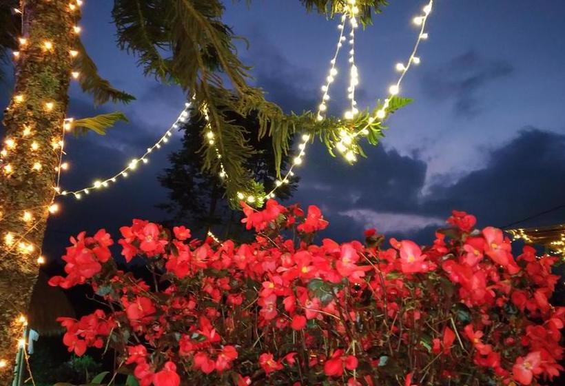 Moon Night Hostel | Santa Helena | Antioquia | Colombia 9