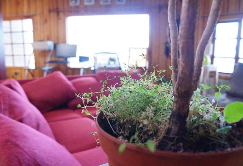 Panoramic Hostel | Puerto Montt | Los Lagos | Chile 13