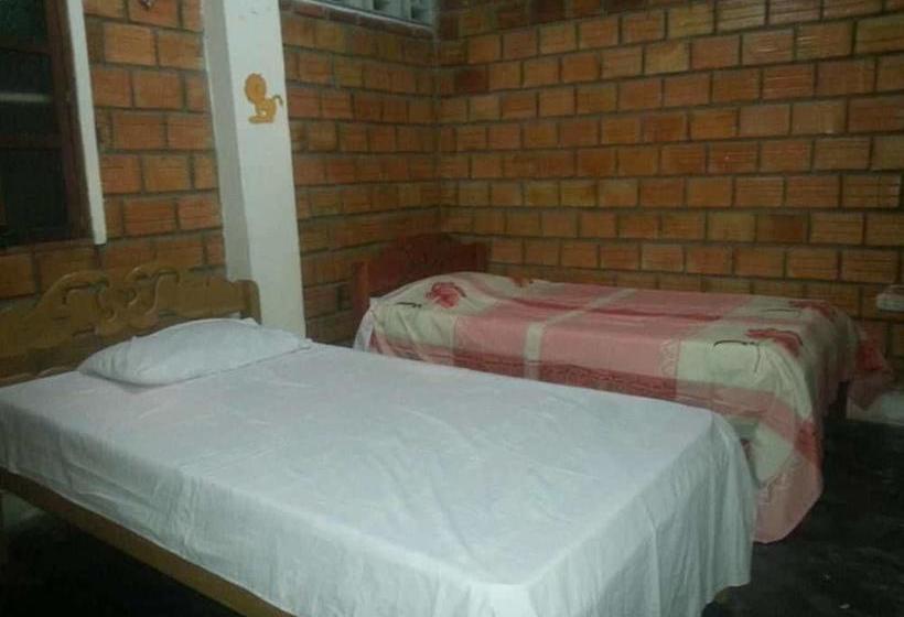 Bed and Breakfast Amazonia Guest House | Iquitos | Maynas | Perú 12