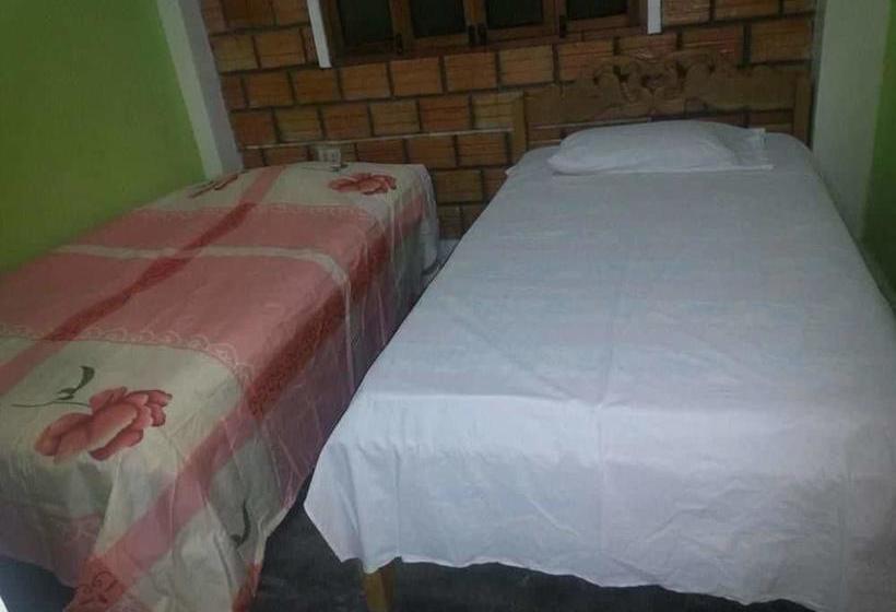 Bed and Breakfast Amazonia Guest House | Iquitos | Maynas | Perú 4