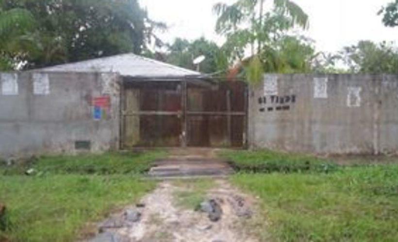 Bed and Breakfast Amazonia Guest House | Iquitos | Maynas | Perú 9