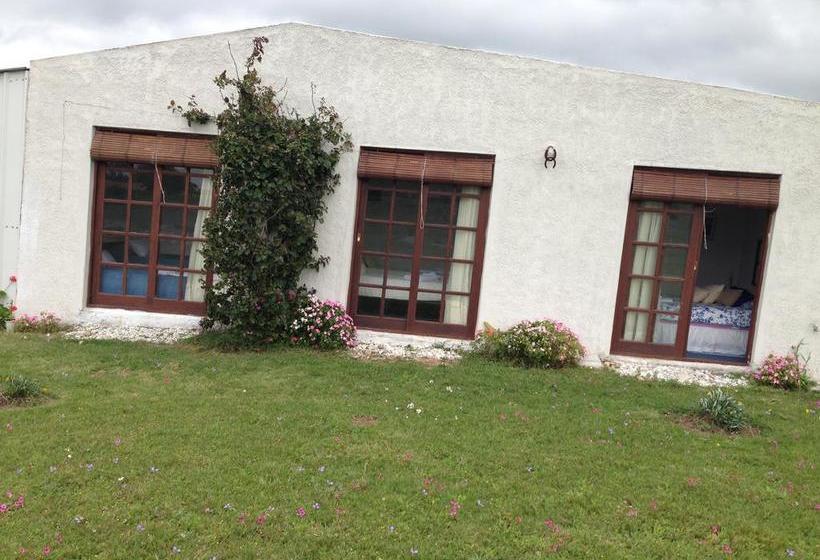 Bed and Breakfast La Soñada | Florida | Soriano | Uruguay 4