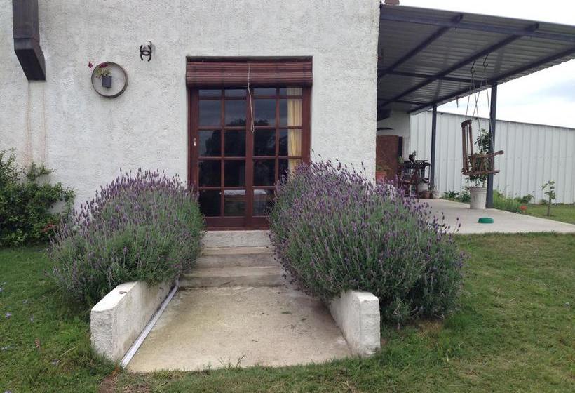 Bed and Breakfast La Soñada | Florida | Soriano | Uruguay 5