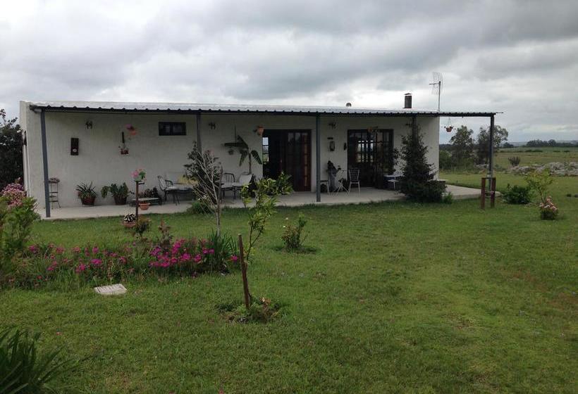 Bed and Breakfast La Soñada | Florida | Soriano | Uruguay 6