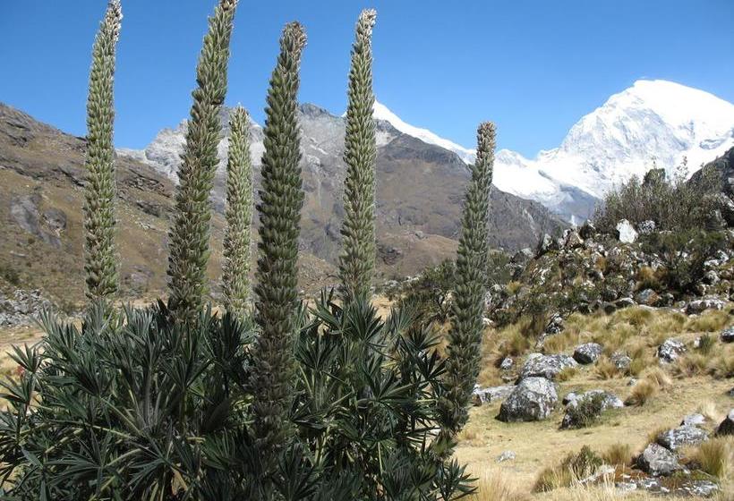 Bed and Breakfast Huaraz City Centre Hostel | Huaraz | Huaraz | Perú 12