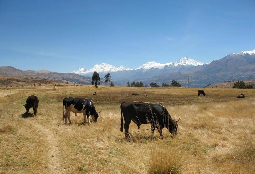 Bed and Breakfast Huaraz City Centre Hostel | Huaraz | Huaraz | Perú 7