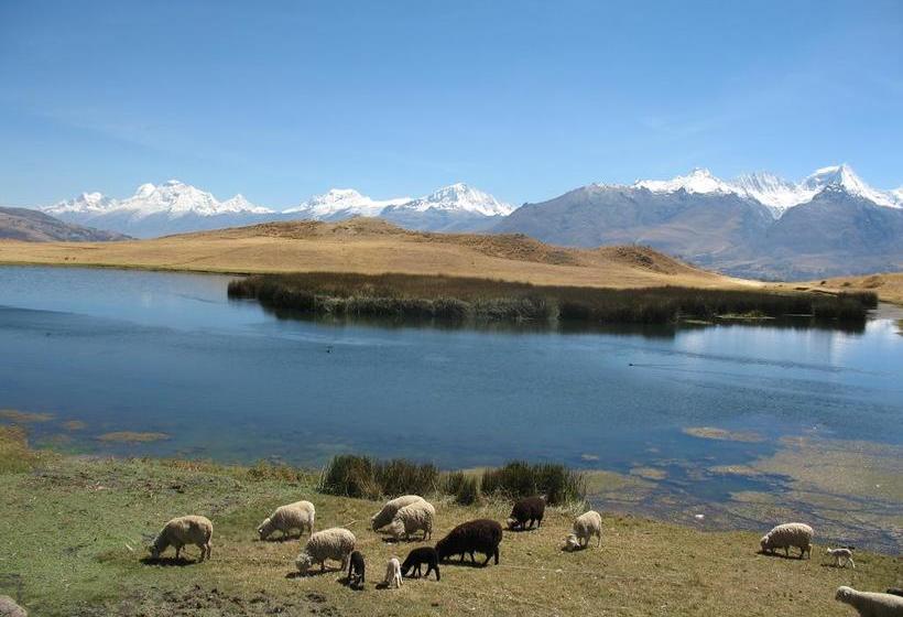 Bed and Breakfast Huaraz City Centre Hostel | Huaraz | Huaraz | Perú 8