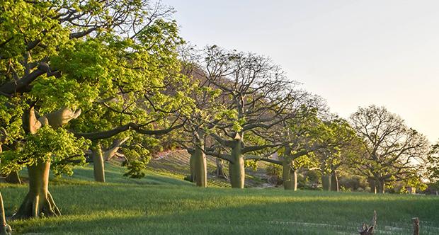Hotel Ceibo Real | Portoviejo | Manabí | Ecuador 1
