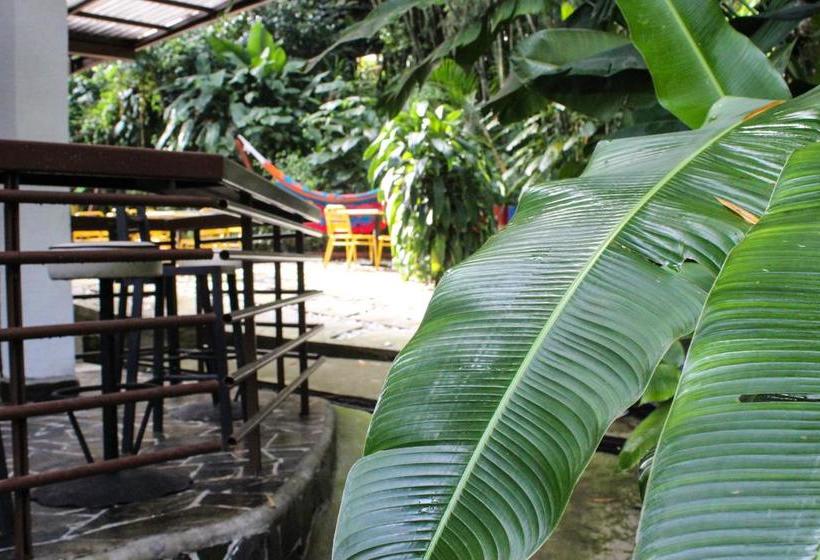 Hotel Bambu Inn | Salento | Quindío | Colombia 13