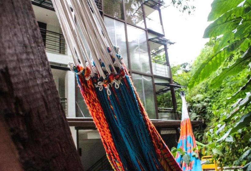 Hotel Bambu Inn | Salento | Quindío | Colombia 15