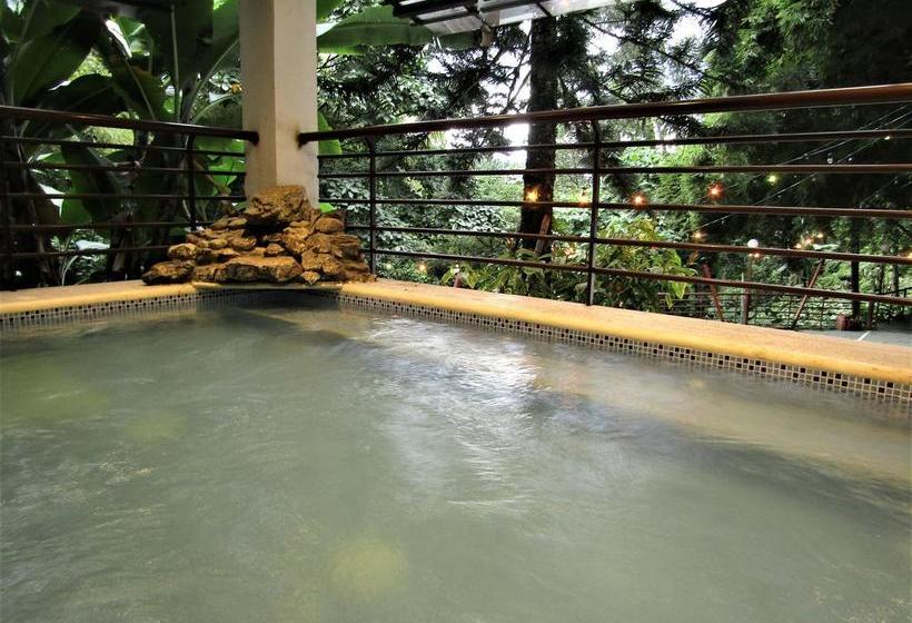 Hotel Bambu Inn | Salento | Quindío | Colombia 17