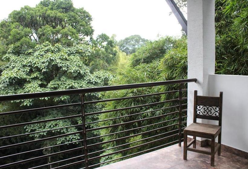 Hotel Bambu Inn | Salento | Quindío | Colombia 2