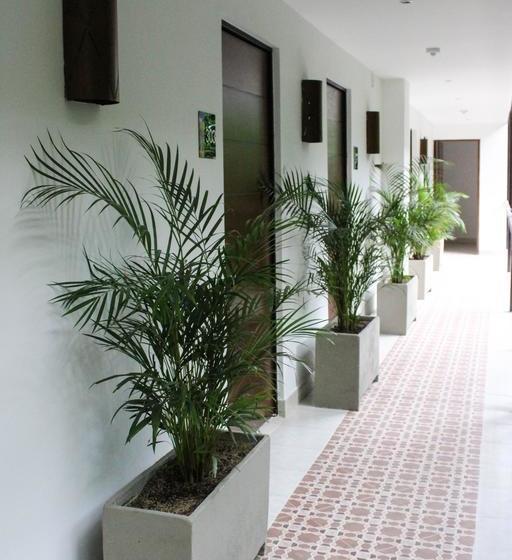 Hotel Bambu Inn | Salento | Quindío | Colombia 5