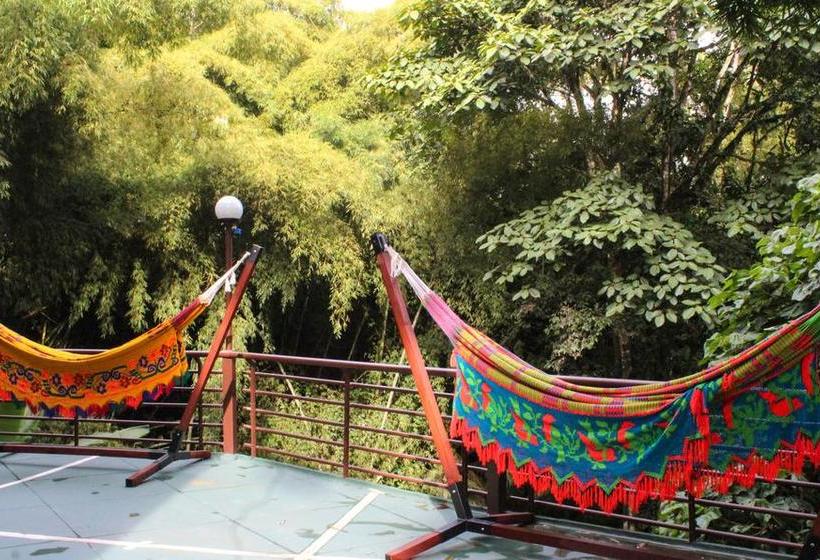 Hotel Bambu Inn | Salento | Quindío | Colombia 6