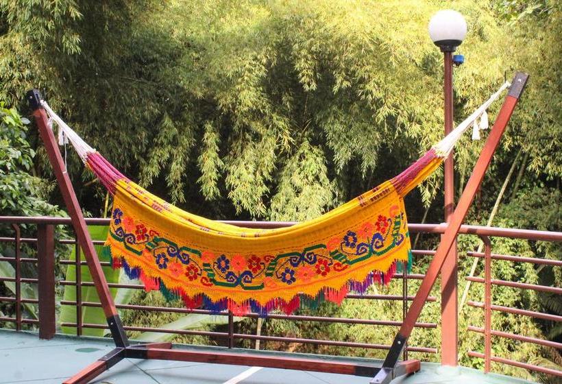 Hotel Bambu Inn | Salento | Quindío | Colombia 8